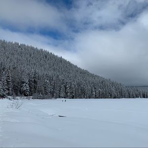 Meet your Posher, Diana